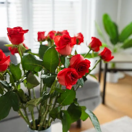 Appartamento Golden Times Przymorze 17 Pietro Danzica